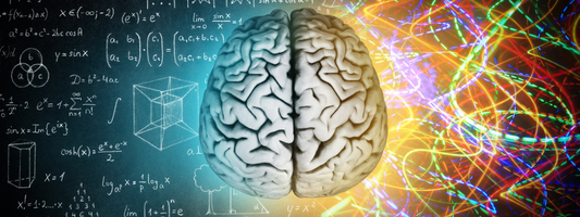 Beyond the Gym: Amino Acids and Cognitive Performance