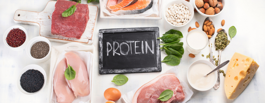 Why Is Protein So Important In Your Diet?