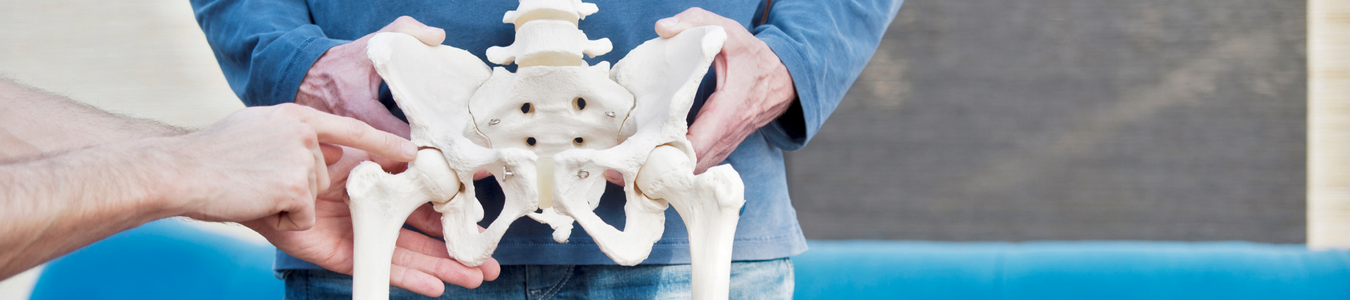 hip fracture studies page man hold skeleton of spine and hip bones